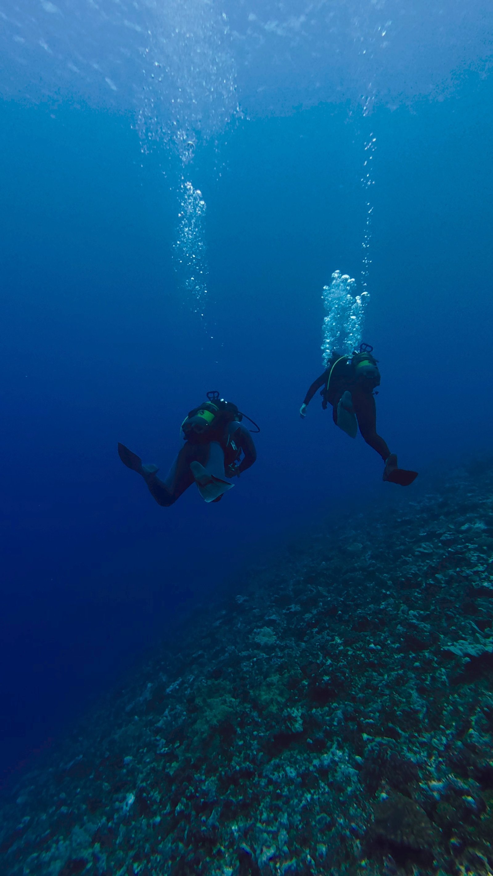 Plongée Sous-Marine